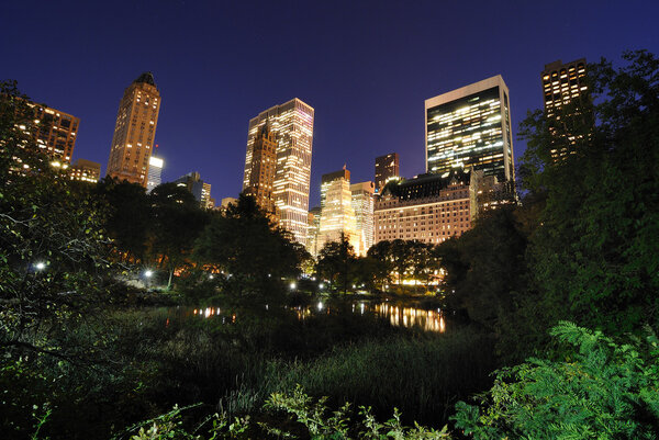 View of Central Park and New York City skyline.
