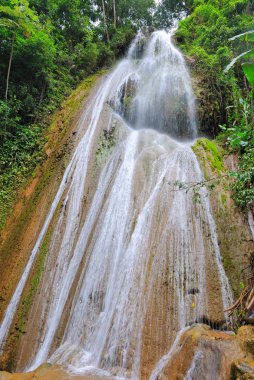 Tropical Waterfall clipart