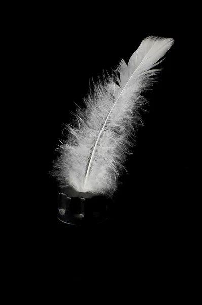 White feather in an ink-pot — Stock Photo, Image