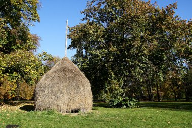Heuschober im Spreewald