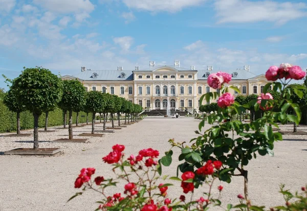 Belles roses et baroque - Palais de style rococo en arrière-plan — Photo