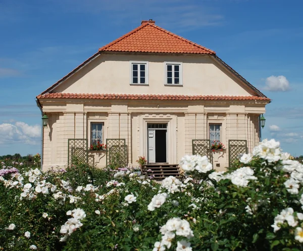Schöne Rosen und Gärtnerhaus im Hintergrund — Stockfoto
