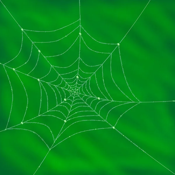 Tautränen im Spinnennetz gefangen — Stockfoto
