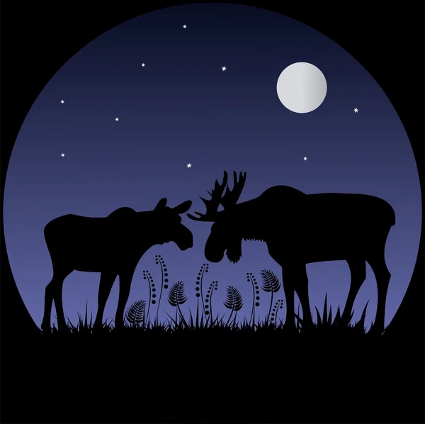Twee elks silhouetten in maanlicht — Stockvector