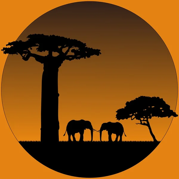 stock vector Elephants in savanna