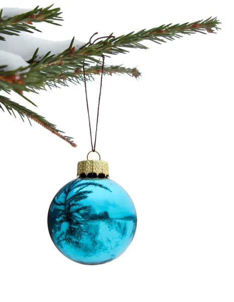 Blauwe bal met het Kerstmis op pine tak Rechtenvrije Stockfoto's