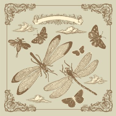 Retro card with butterflies clipart