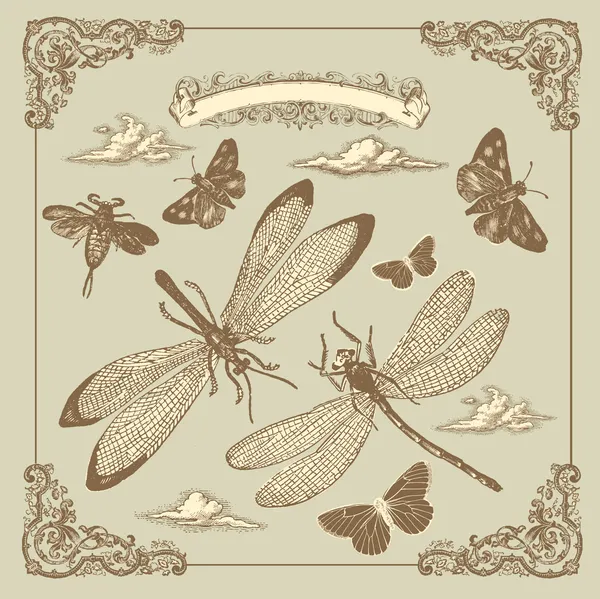 Tarjeta retro con mariposas — Vector de stock