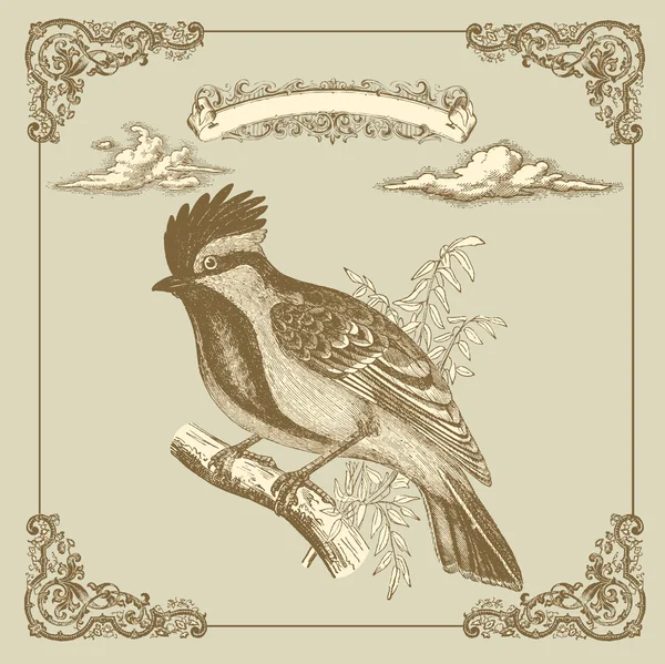 Retro card with bird — Stock Vector