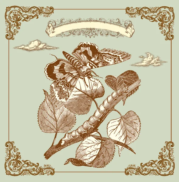 Tarjeta retro con mariposa — Vector de stock