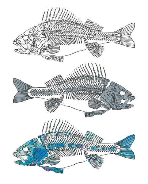 ปลาโครงกระดูก — ภาพเวกเตอร์สต็อก