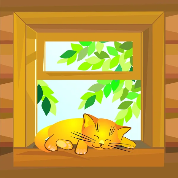 在打开的窗口的木制农舍的窗台上睡着了一夏天天红猫 — 图库矢量图片