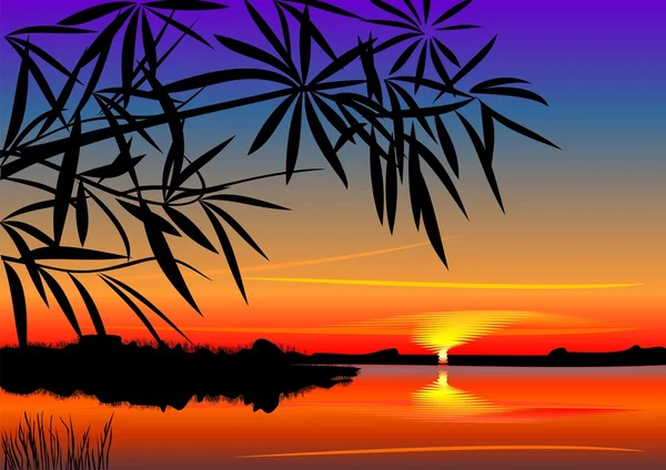 Zářivě Barevné Západ Slunce Nad Jezerem Popředí Siluety Rostlin — Stockový vektor