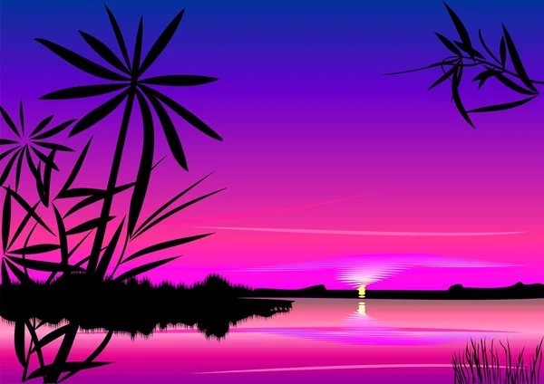 Ljusa Färgglada Solnedgång Över Sjön Förgrunden Silhuetter Växter — Stock vektor
