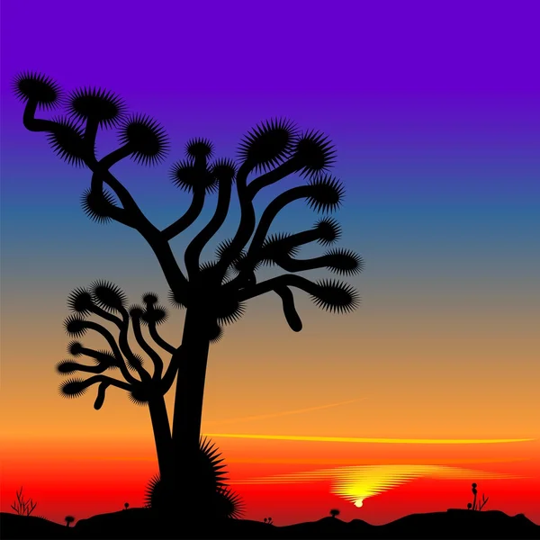 Vector prachtige heldere zonsondergang in de woestijn — Stockvector