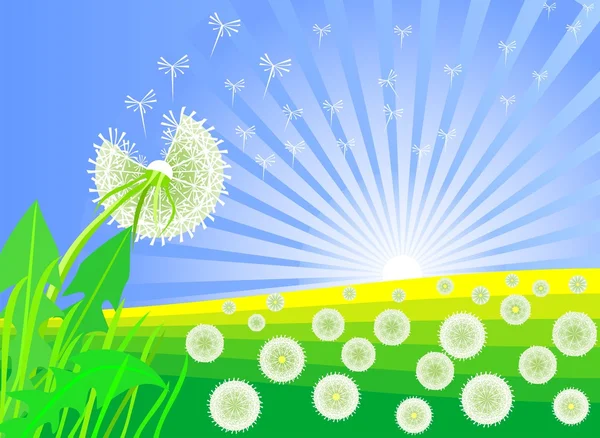 Paysage Estival Avec Beau Pissenlit Lumineux Contre Ciel Les Prairies — Image vectorielle