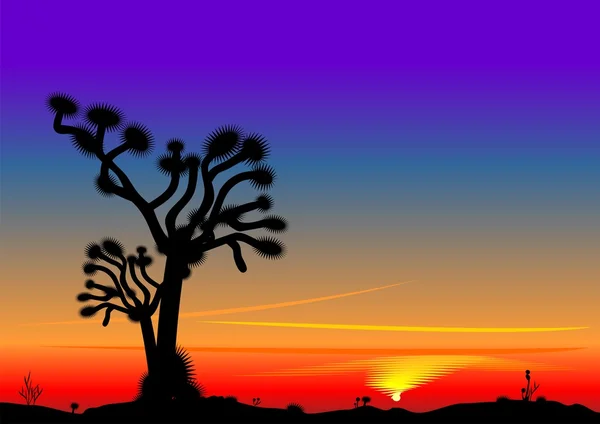 Vector prachtige heldere zonsondergang in de woestijn — Stockvector