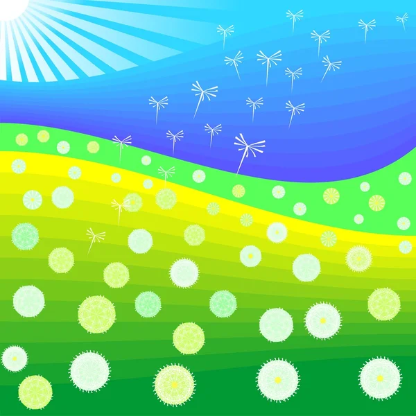 Pissenlits vecteurs fleurissant dans le contexte du lever du soleil — Image vectorielle
