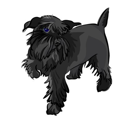 Vector black Miniature Schnauzer dog clipart