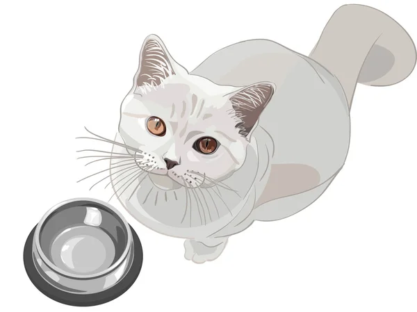 Vector cat requests that have — Stock Vector