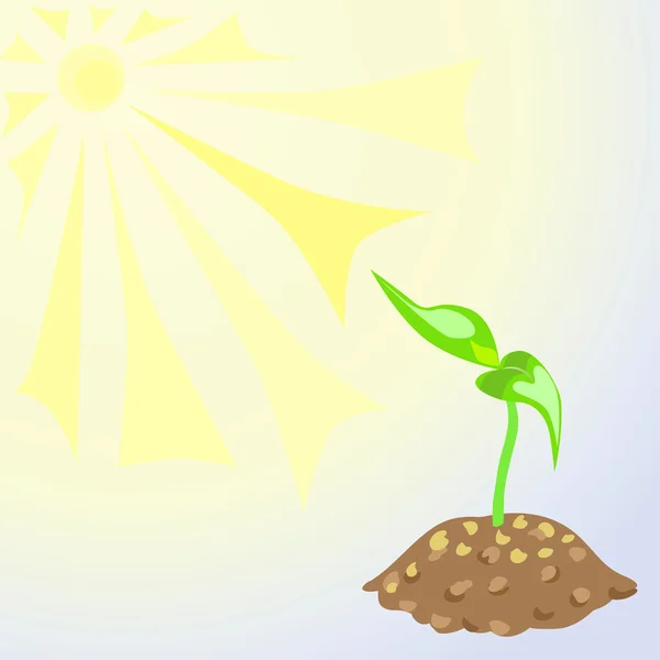 Vector green sprouts in the land — Stock Vector