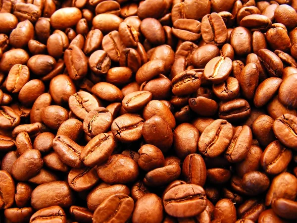 新鲜的咖啡豆 — 图库照片
