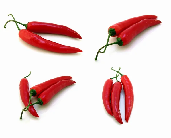 4 красных перца чили — стоковое фото