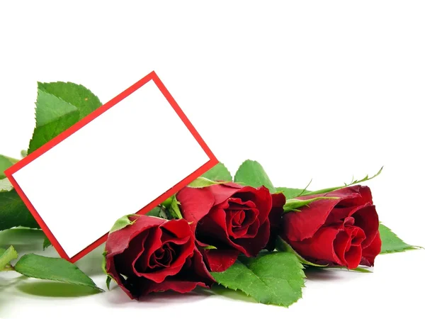 赤いバラとコピー スペースで空白ギフト カードの選択 — ストック写真