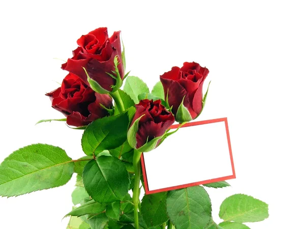 Rosas rojas con etiqueta de regalo — Foto de Stock
