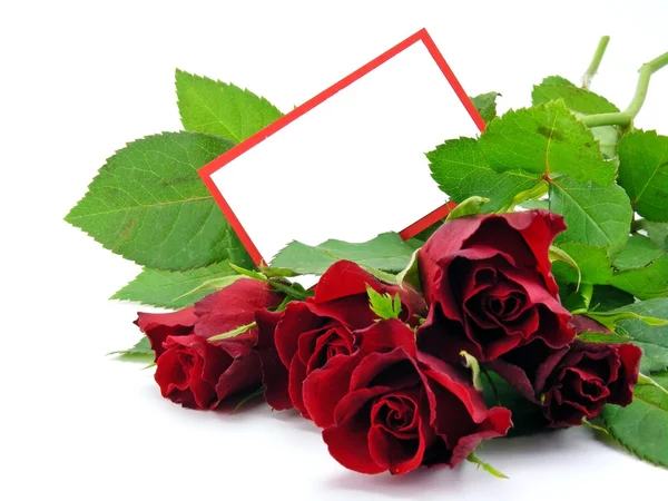 Rote Rosen mit Geschenkanhänger — Stockfoto