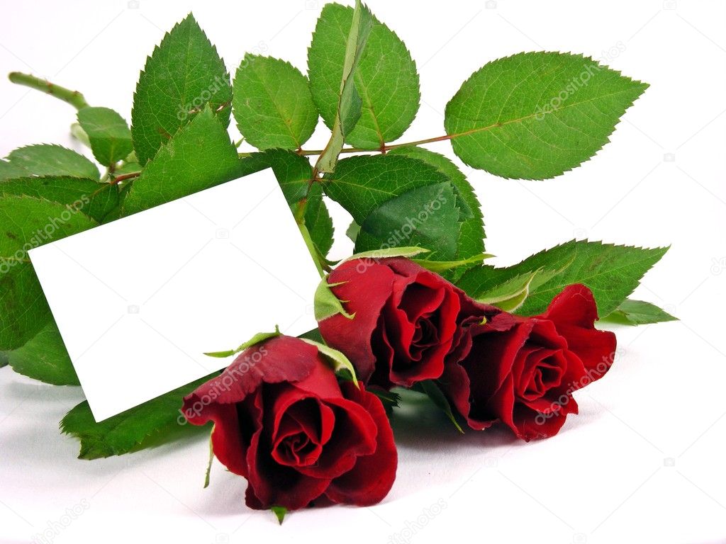 A selection of red roses and a blank gift card with copy space