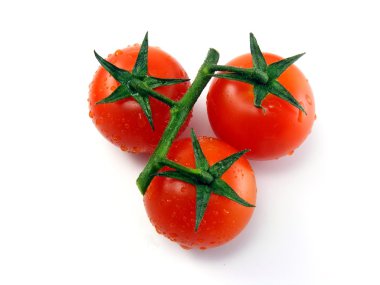 Wet fresh tomatoes with stem & leaves on white background clipart