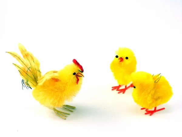 Påsk kycklingar på vit bakgrund — Stockfoto