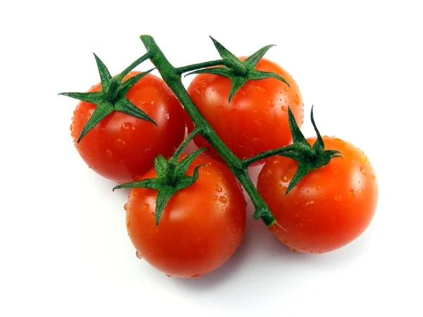 Tomates Fraîches Humides Avec Tige Feuilles Sur Fond Blanc — Photo