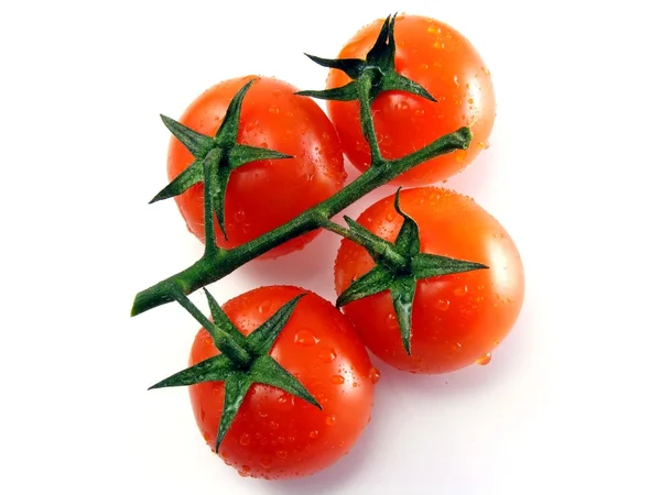 Beyaz arkaplanda domatesler — Stok fotoğraf
