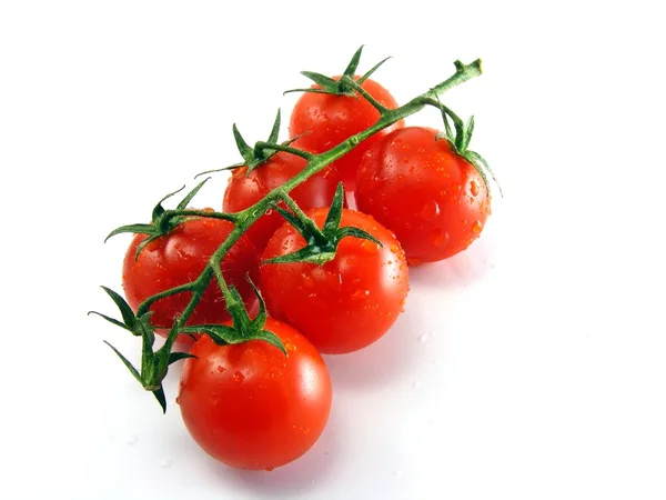 Tomates Fraîches Humides Avec Tige Feuilles Sur Fond Blanc — Photo