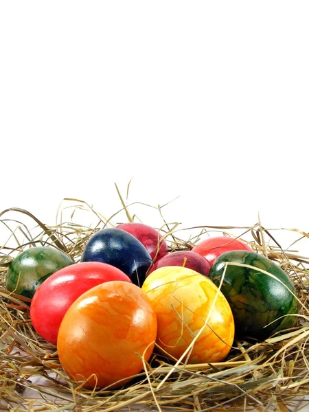 Πασχαλινά αυγά σε χόρτο — Φωτογραφία Αρχείου