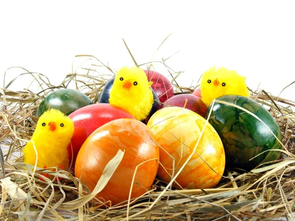 绘有光泽的复活节彩蛋 小鸡草背景上 — 图库照片