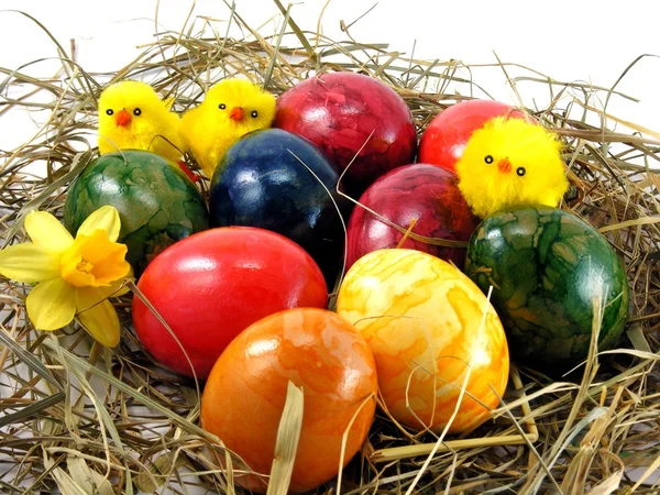 Painted Shiny Easter Eggs Chicks Grass Background — Stock Photo, Image