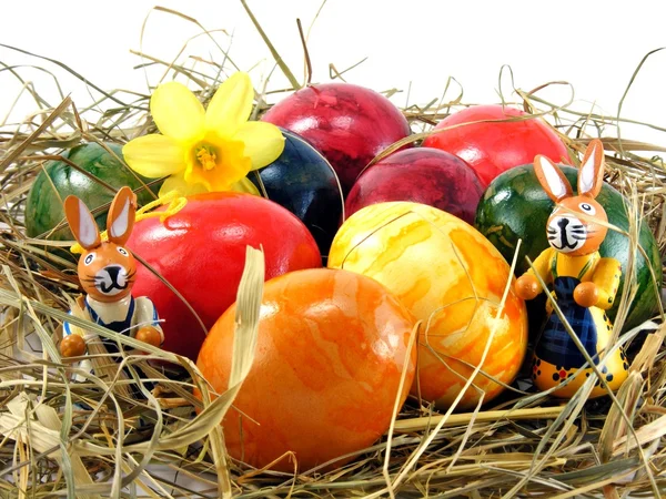Uova di Pasqua & coniglio — Foto Stock