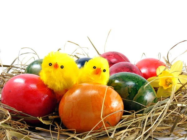 Χειροποίητη Λαμπερά Πασχαλινά Αυγά Νεοσσούς Χόρτο Φόντο — Φωτογραφία Αρχείου