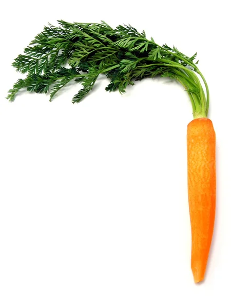 A single fresh carrot with leaves — Stock Photo, Image