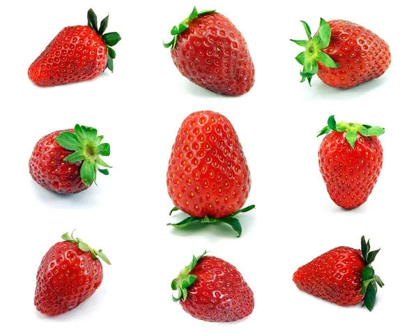 Selección de fresas individuales — Foto de Stock