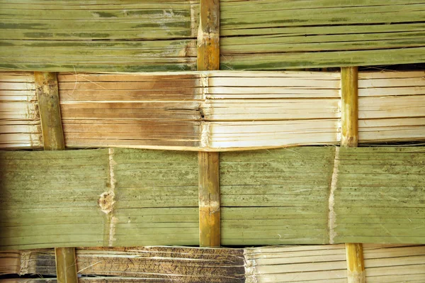 Ściany bambusa — Zdjęcie stockowe
