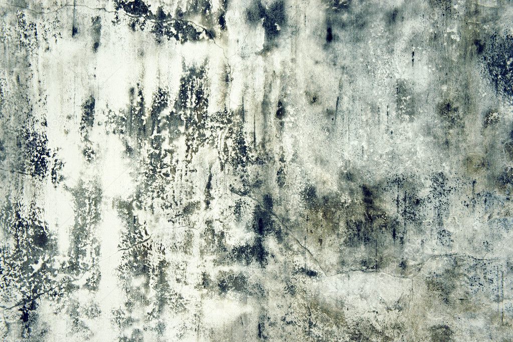 Grunge wall concreat texeture
