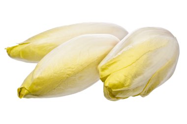 Brussels Chicory isolated over white clipart