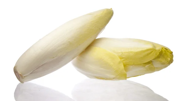 Brussels Chicory isolated over white Stock Picture