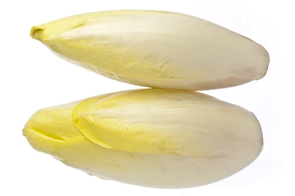 Bruxelas Chicory isolado sobre branco Imagem De Stock