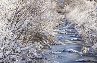 ahşap köprü ile Little Nehri