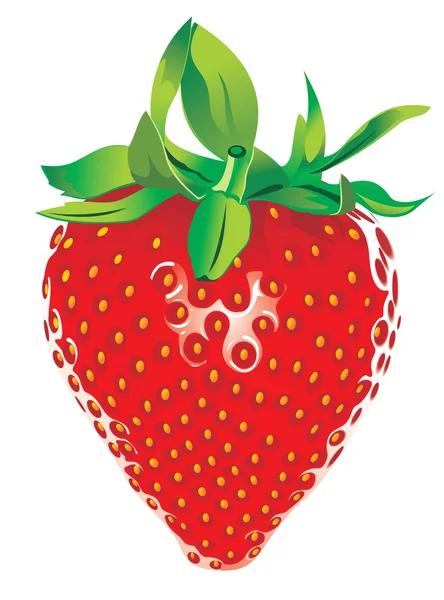 stock vector Strawberry